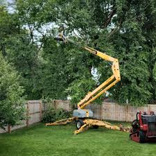 Mulching Services in Maple Glen, PA